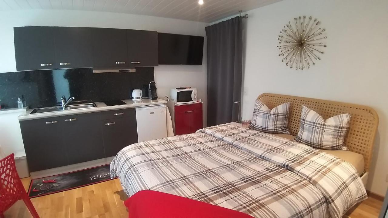 Beau Studio Avec Terrasse Et Vue Exclusivement Pour Non Fumeurs Belmont-sur-Lausanne Eksteriør bilde