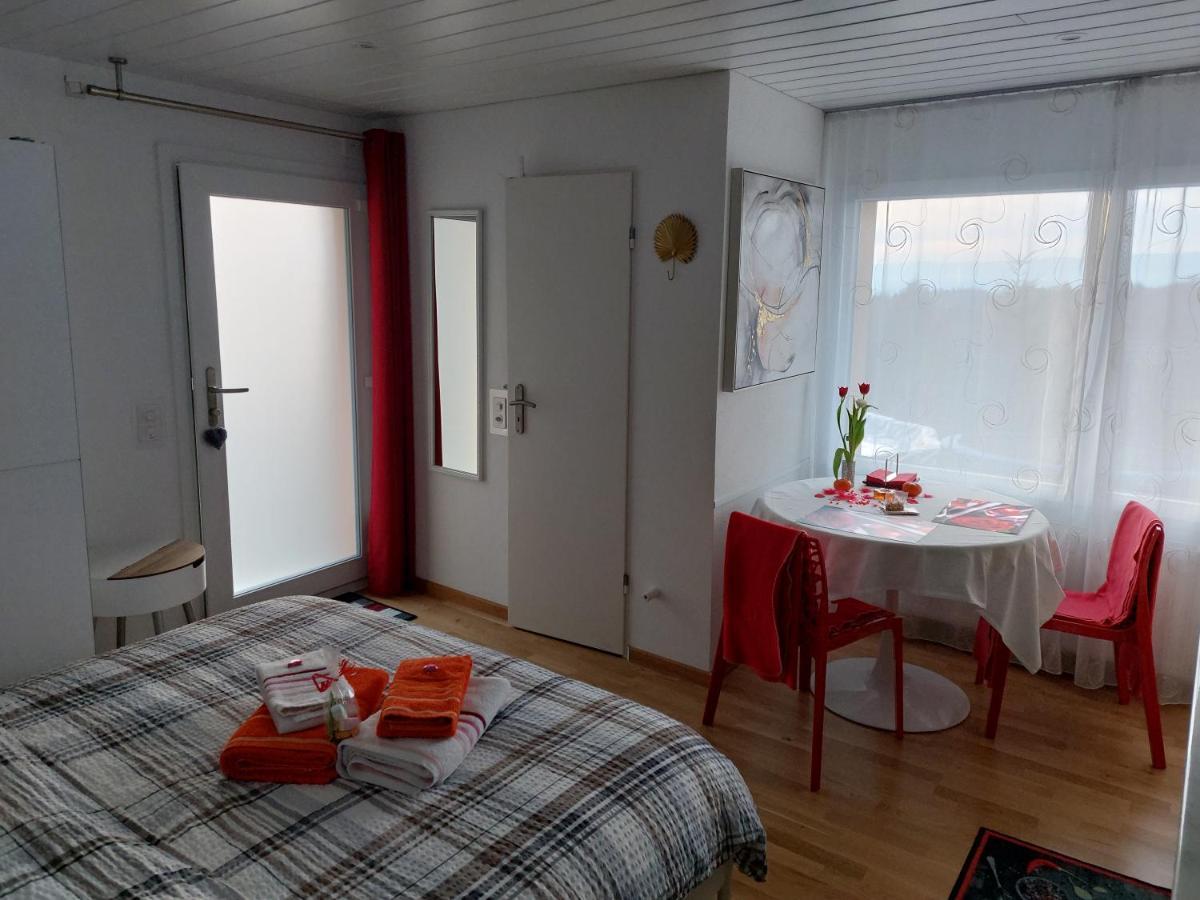Beau Studio Avec Terrasse Et Vue Exclusivement Pour Non Fumeurs Belmont-sur-Lausanne Eksteriør bilde
